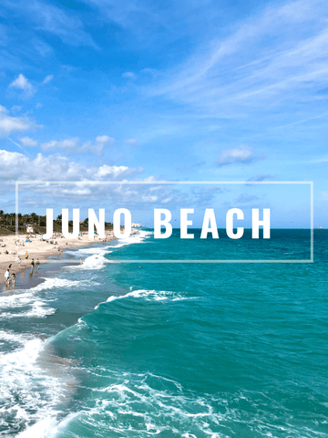 Juno Beach Properties In South Florida Areny Realty 9131688