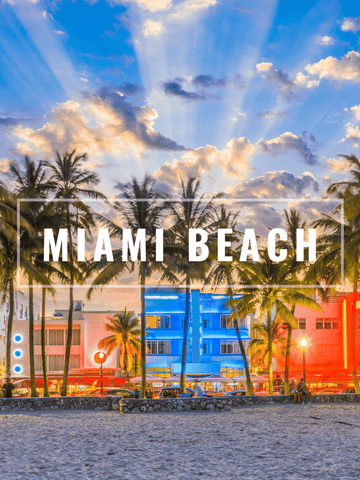 Miami Beach Properties In South Florida Areny Realty 9134927